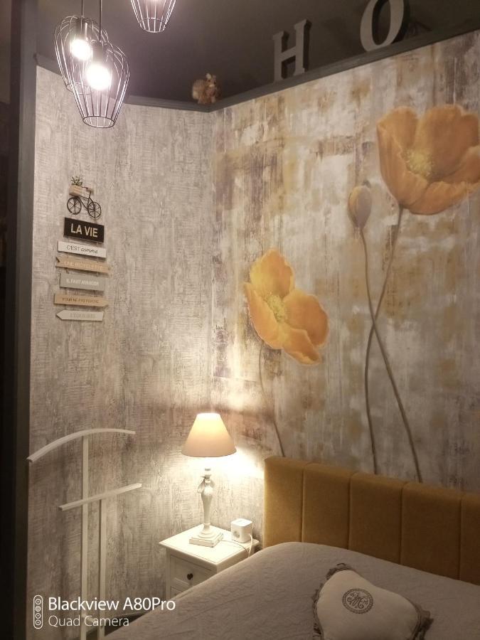 Studio Malou, Cuisine, Salle D'Eau, Terrasse Amenagee Olliergues Kültér fotó