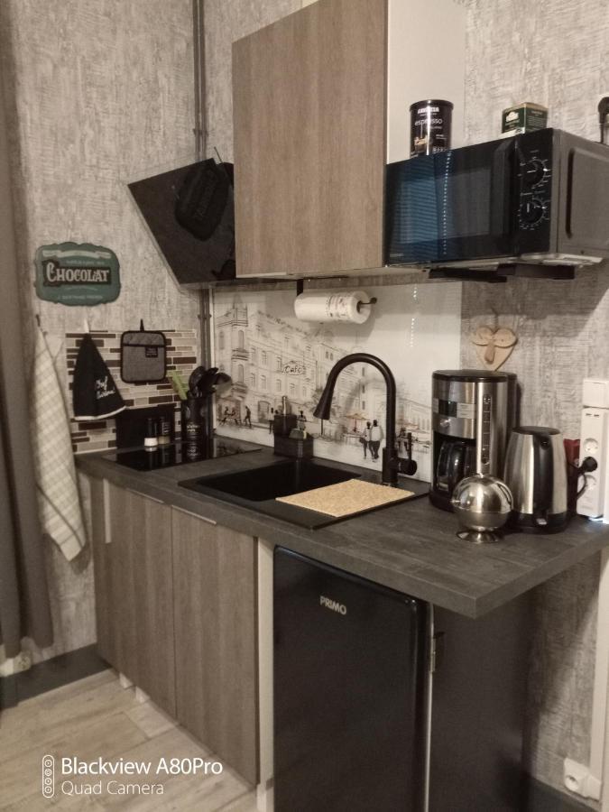 Studio Malou, Cuisine, Salle D'Eau, Terrasse Amenagee Olliergues Kültér fotó