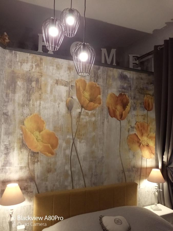Studio Malou, Cuisine, Salle D'Eau, Terrasse Amenagee Olliergues Kültér fotó