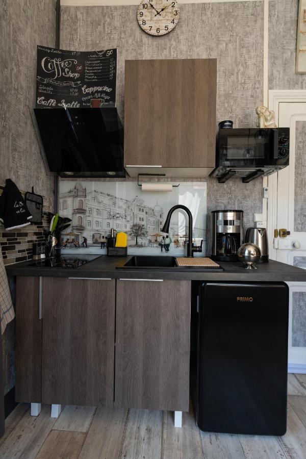 Studio Malou, Cuisine, Salle D'Eau, Terrasse Amenagee Olliergues Kültér fotó
